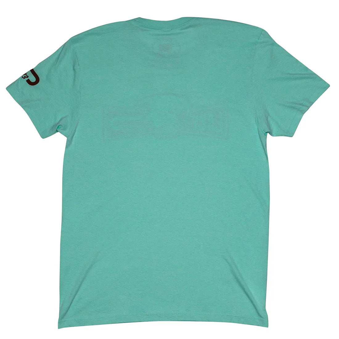 Lazy J Ranch Diamond Hereford Banner T-Shirt - Seafoam Green