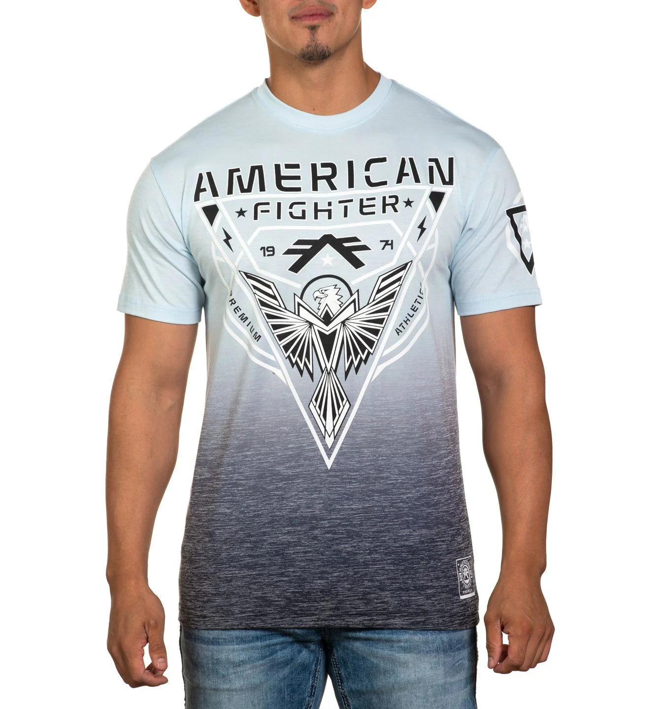 AMERICAN FIGHTER |Dunnigan