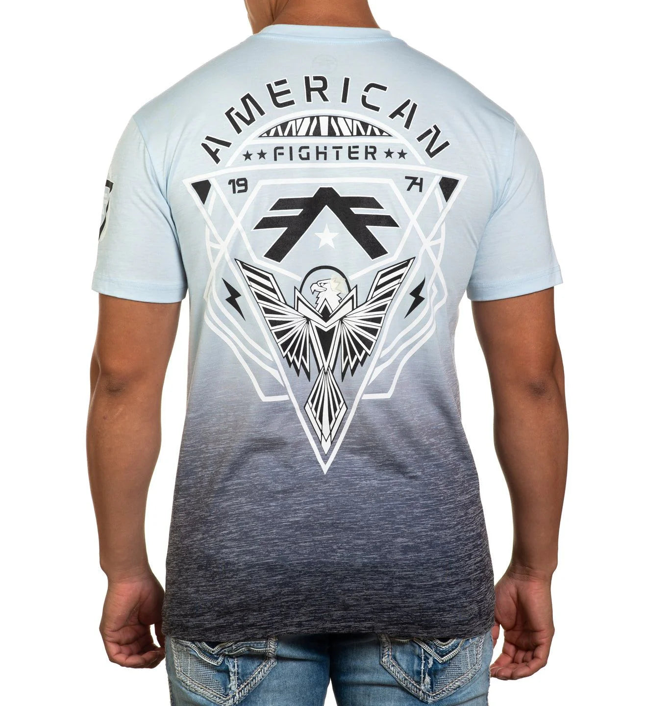 AMERICAN FIGHTER |Dunnigan