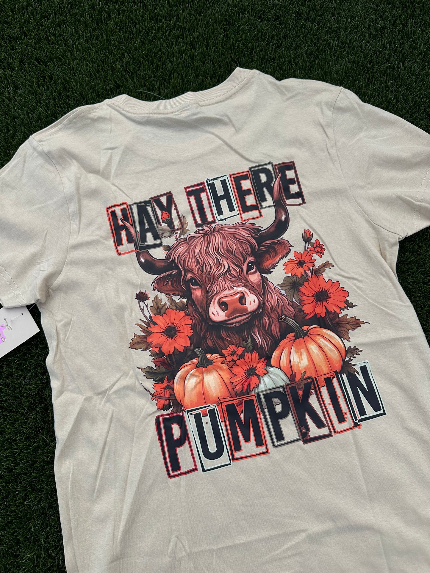 CUSTOM T-SHIRT | HAY THERE PUMKIN