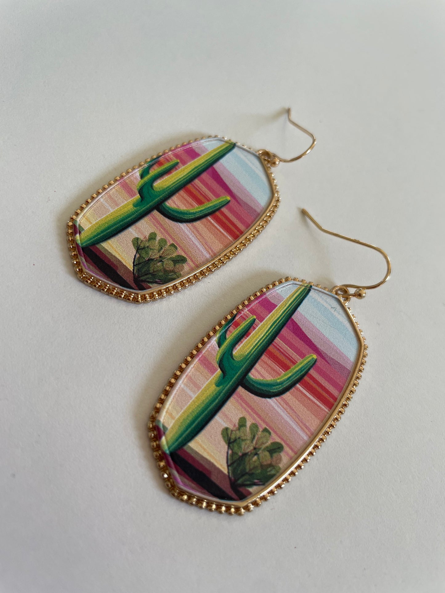 HEXAGON CACTUS EARRINGS