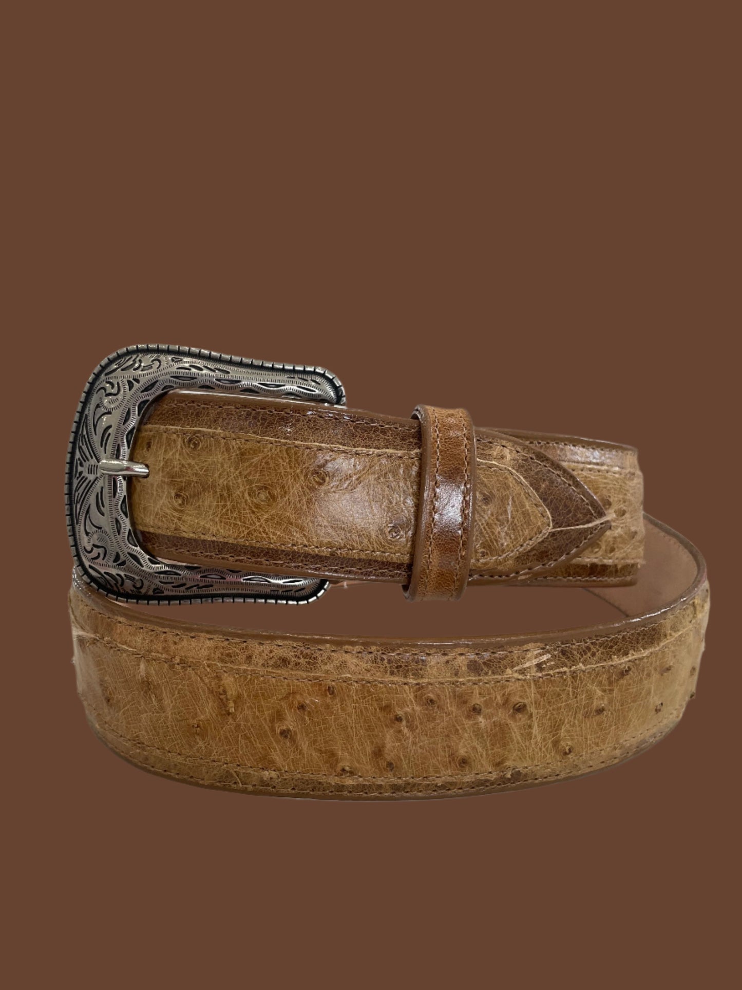 AVESTRUZ MEN BELT 36