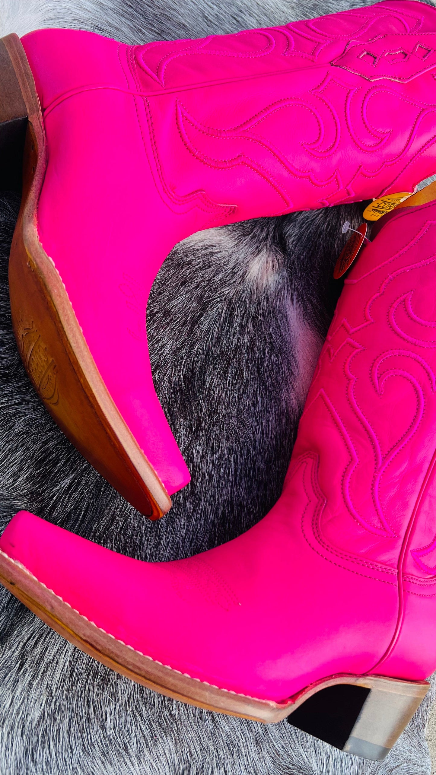 Z5138 - WOMEN'S EMBROIDERY FUCHSIA SNIP TOE COWBOY BOOT