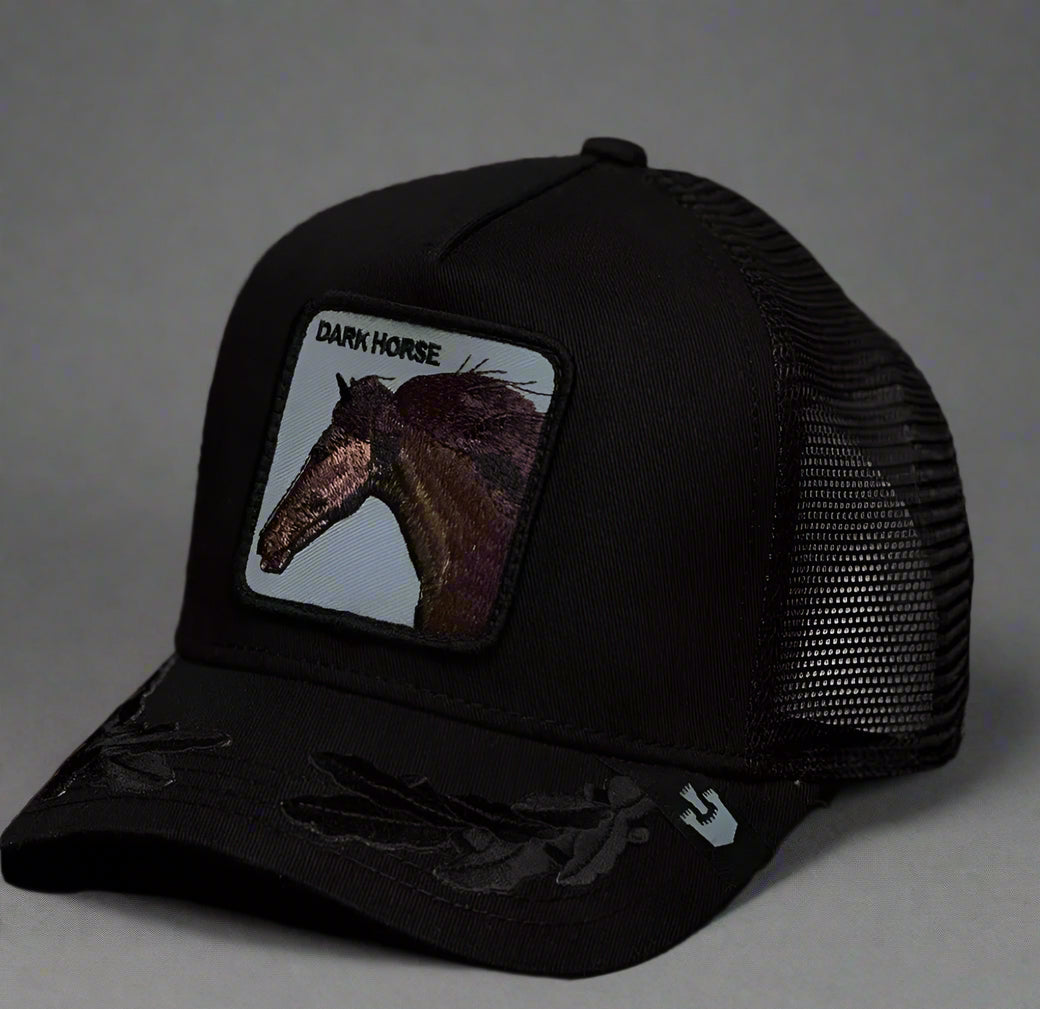 Goorin Bros dark horse hat