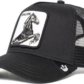 Goorin Bros| Stallion Hat